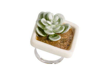 Ring - Sukkulenten