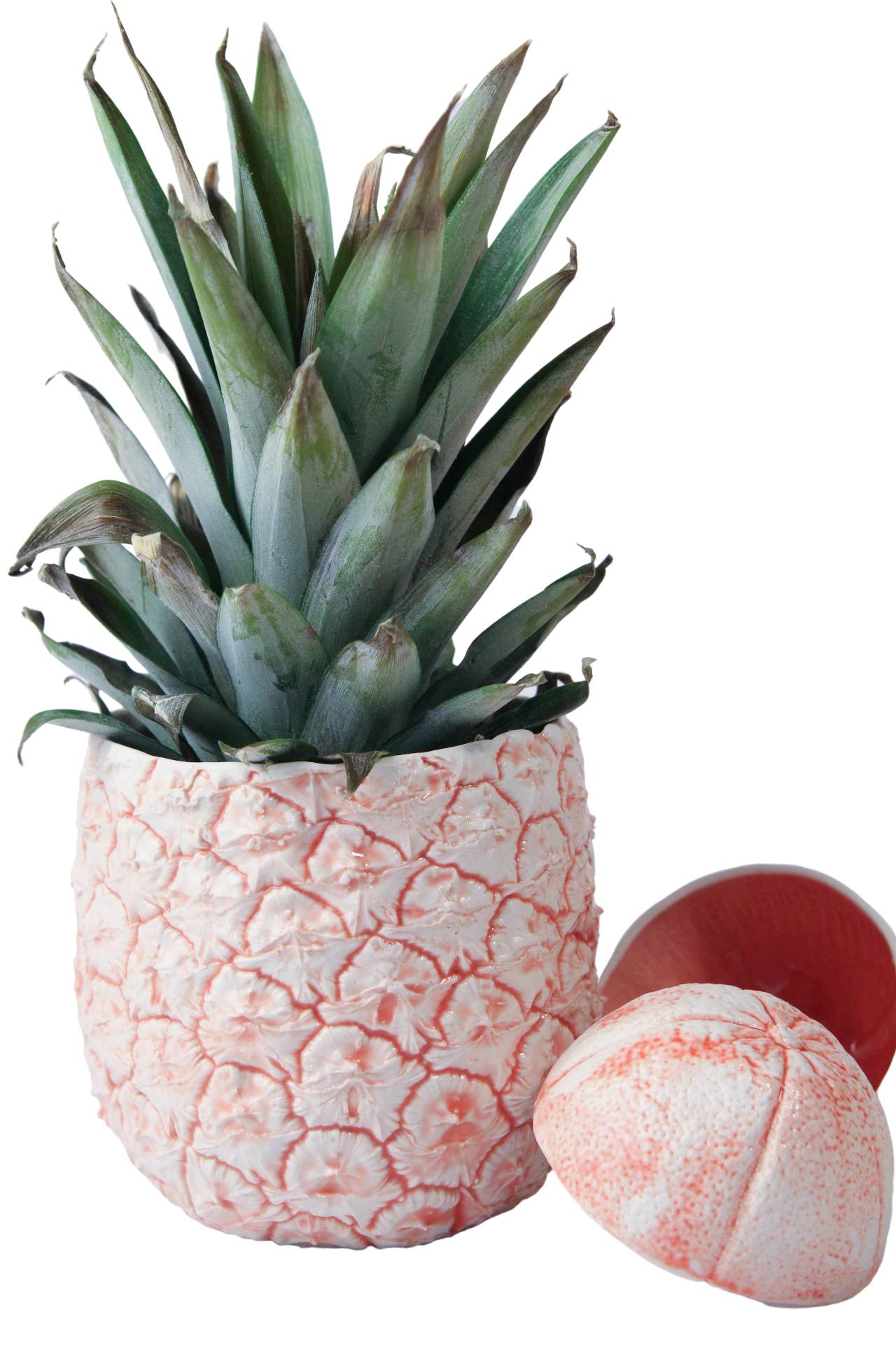 Vase - Ananas